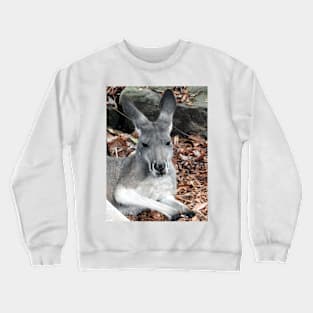 Red Kangaroo Crewneck Sweatshirt